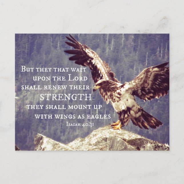Bible Verse: Renew Strength, Wings as Eagles Postcard (Front)