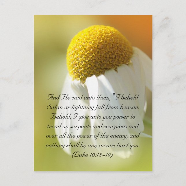 Bible verses, Daisy Postcard (Front)
