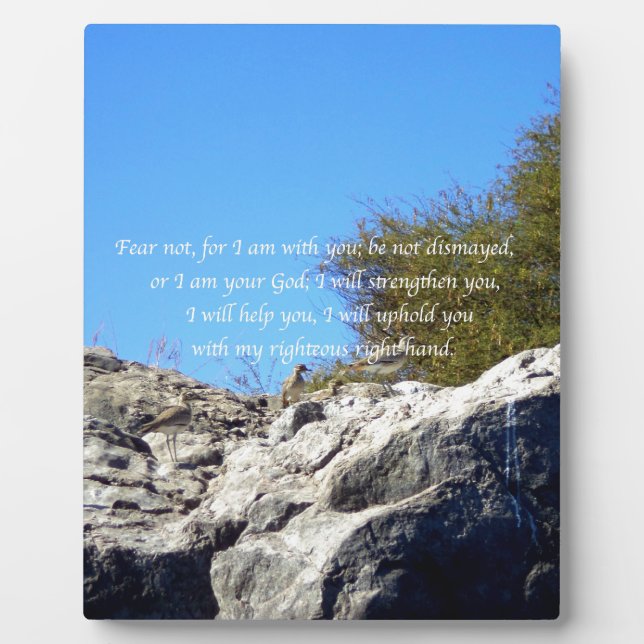 Bible Verses Inspirational Quote Isaiah 41:10 Plaque (Front)