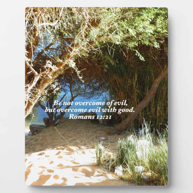 Bible Verses Love Quote Saying Romans 12:21 Plaque (Front)