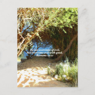Bible Verses Love Quote Saying Romans 12:21 Postcard