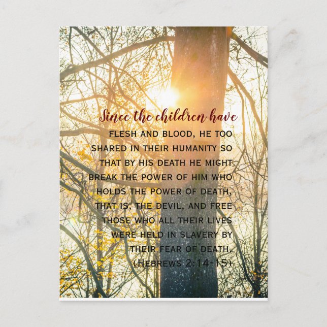 Bible verses, the sunset, Hebrews 2 Postcard (Front)