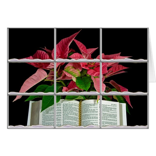 Bible with Christmas poinsettia in window frame (Front Horizontal)