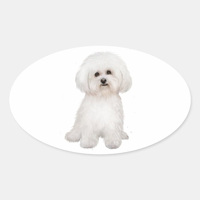 Bichon (B) Oval Sticker (Front)