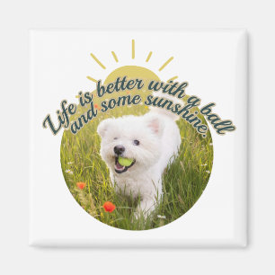 Bichon & Ball Dandelion Days  Magnet
