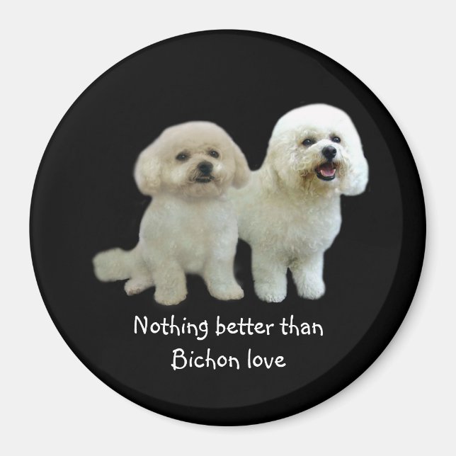 Bichon Buddies Magnet (Front)