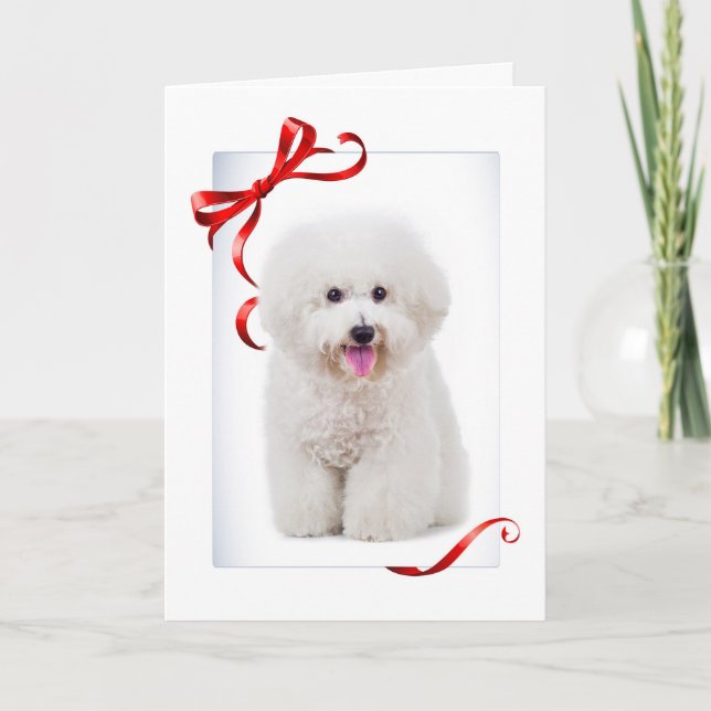 Bichon Christmas Card (Front)