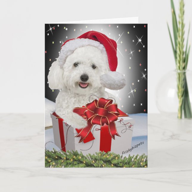 Bichon Christmas Cards (Front)