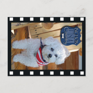 Bichon country with negative frame postcard