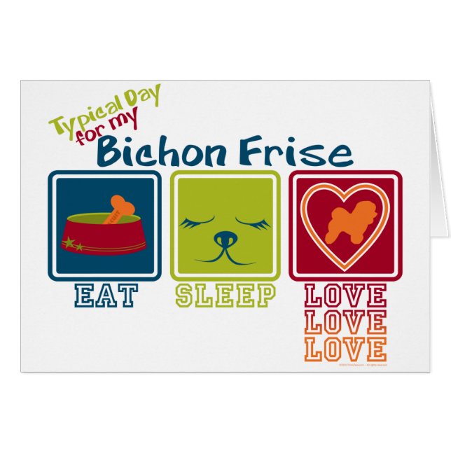 Bichon Frise (Front Horizontal)