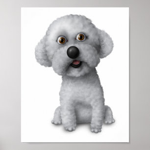 Bichon Frise: 8x10 Poster
