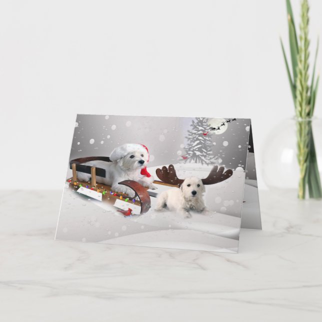 Bichon Frise A Merry Christmas Greeting Card (Front)