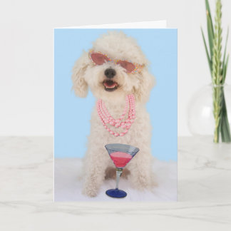 Bichon Frise Birthday Card by Focus for a Cause