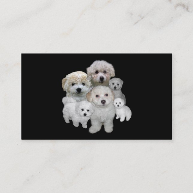 Bichon Frise Breeder Business Card (Front)