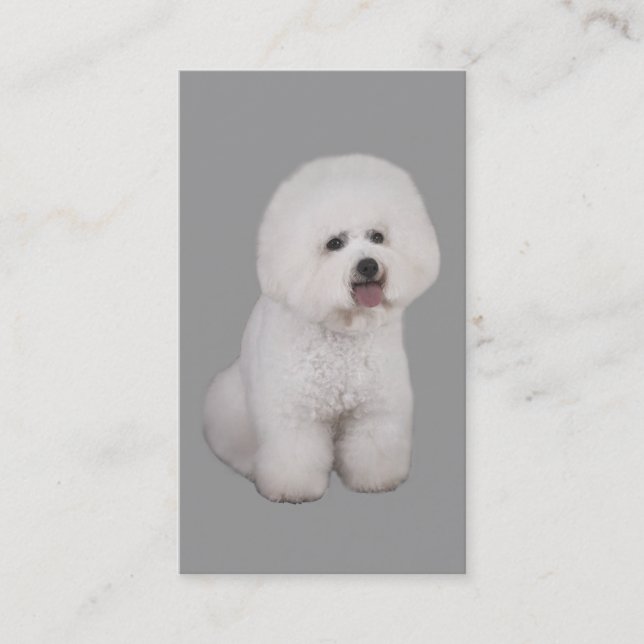 Bichon Frise Breeder Business Card (Front)