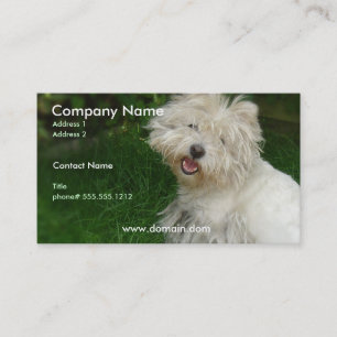 Bichon Frise Business Card