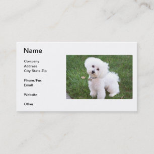 Bichon Frise Business Card
