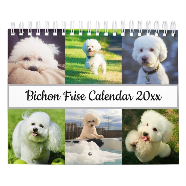 Bichon Frise Calendar (Cover)