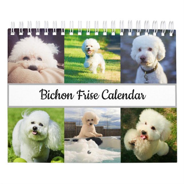 Bichon Frise Calendar (Cover)