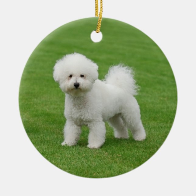 Bichon Frise Ceramic Tree Decoration (Front)