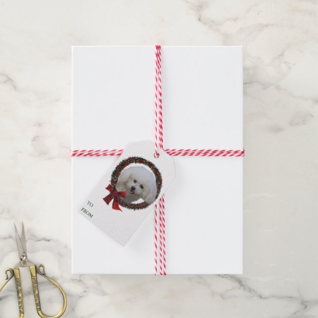 Bichon Frise Christmas Gift Tags (With Twine)