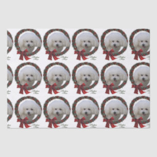 Bichon Frise Christmas Tissue Paper