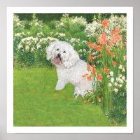 Bichon Frise Coral Fantasy