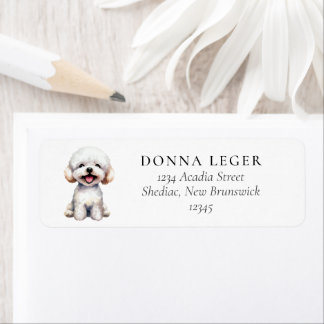 Bichon Frise Dog Address