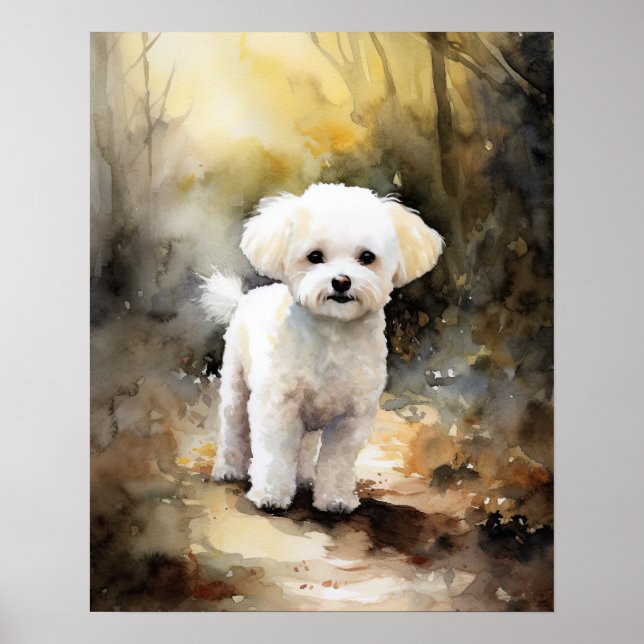 Bichon Frise Dog Art Print Poster (Front)
