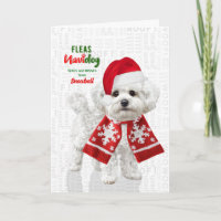Bichon Frise Dog Funny Fleas Navidog with Name