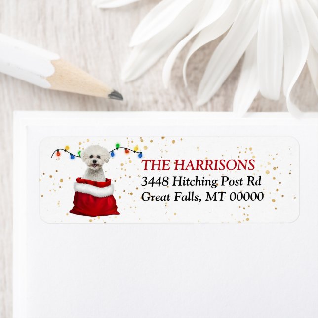 Bichon Frise Dog in Gift Bag Return Address (Insitu)