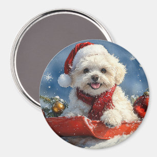 Bichon Frise Dog in Sledge Let it Snow Christmas Magnet