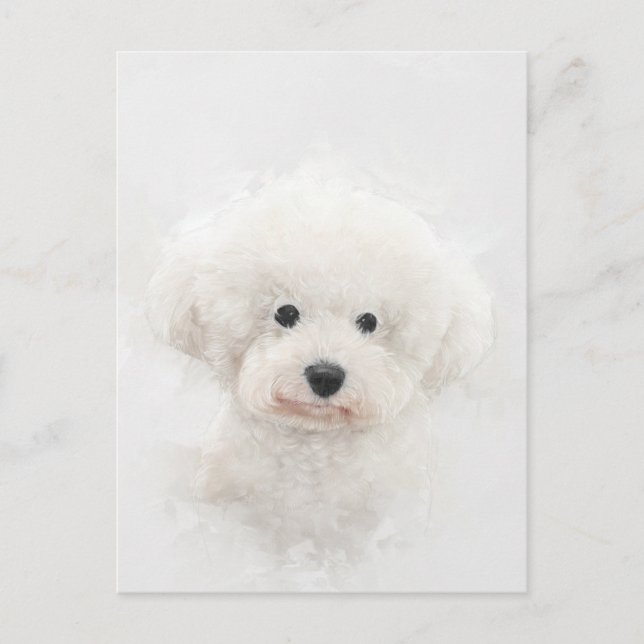 Bichon Frise Dog Portrait Postcard (Front)