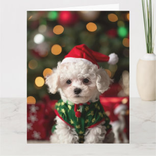 Bichon Frise Elf Puppy Christmas Card