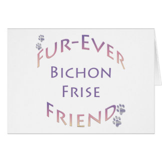 Bichon Frise Furever