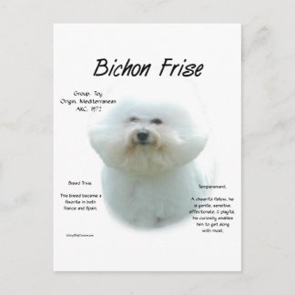 Bichon Frise History; All About Bichon Frise Postcard