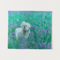 Bichon Frise in Bluebonnets