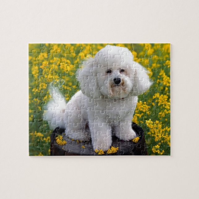 Bichon Frise Jigsaw Puzzle (Horizontal)