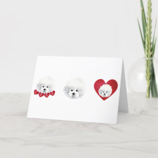 Bichon Frise _ mix _ Holiday Card