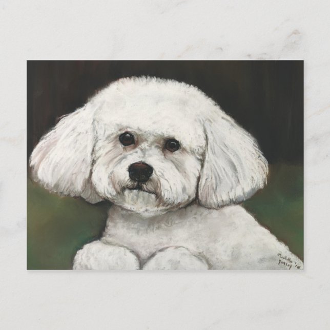 Bichon Frise Original Dog Art Postcard (Front)