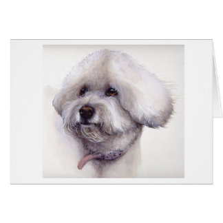 Bichon Frise Painted in Watercolour