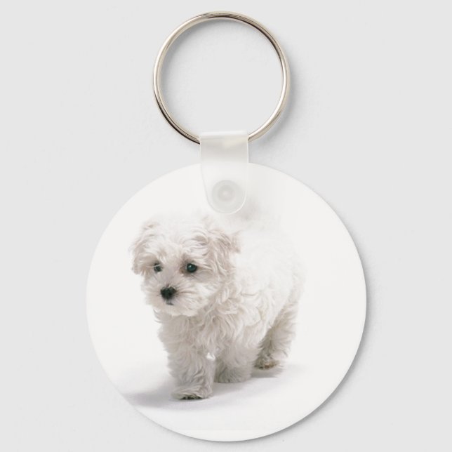Bichon Frise Photo Keychain (Front)