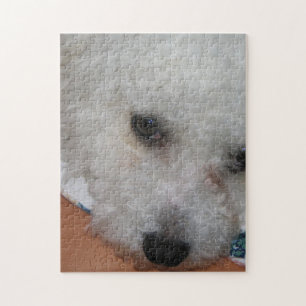 Bichon Frisé.png Jigsaw Puzzle