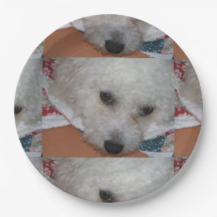 Bichon Frisé.png Paper Plate