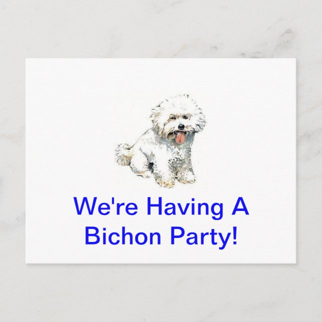 Bichon Frise Postcard (Front)