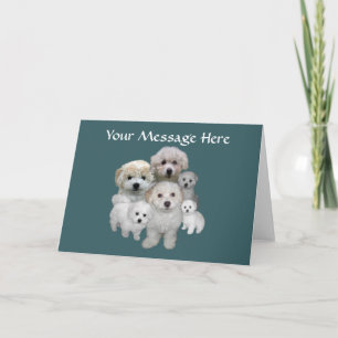 Bichon Frise Puppies Greeting Card