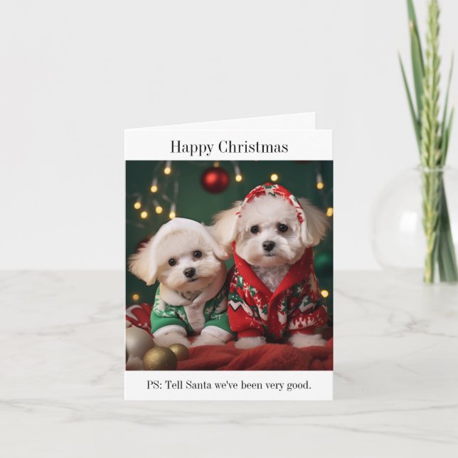 Bichon Frise Puppies Happy Christmas Card (Front)