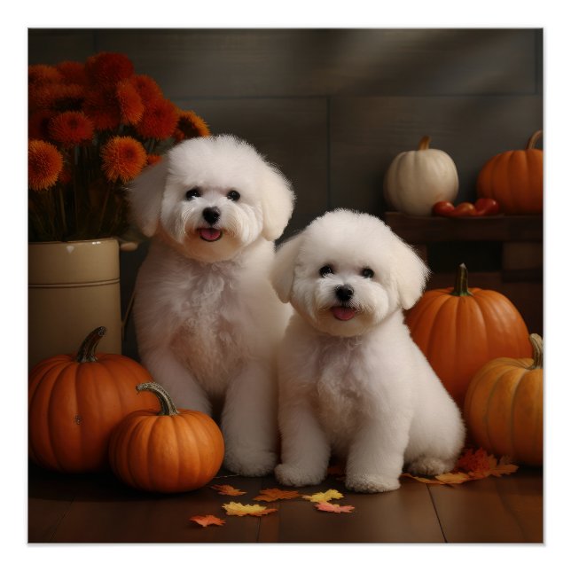 Bichon Frise Puppy Autumn Delight Pumpkin  Poster (Front)