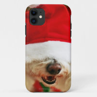 Bichon Frise puppy wearing Santa costume