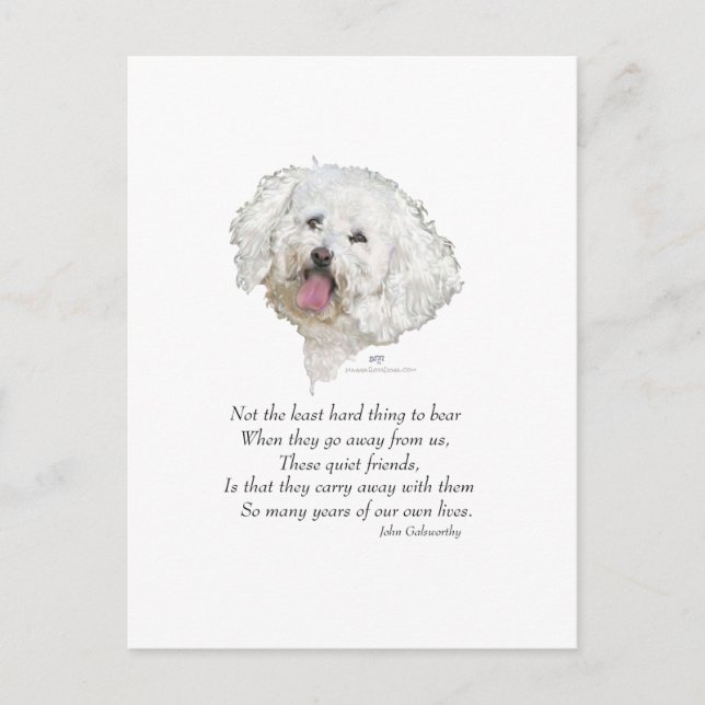 Bichon Frise Rainbow Bridge Postcard (Front)